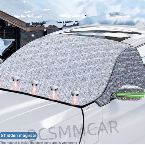 Car anti frost winter - car,