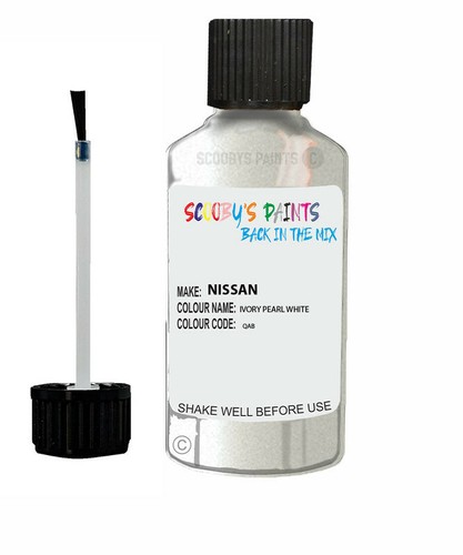 Paint for nissan - paint,