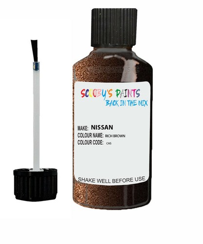 Paint touch for nissan rich - up,