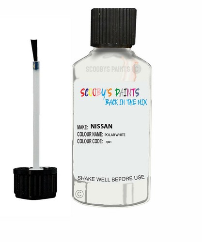 Paint for nissan polar - for,