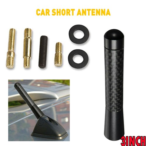 Real carbon inch fiber - fiber, short