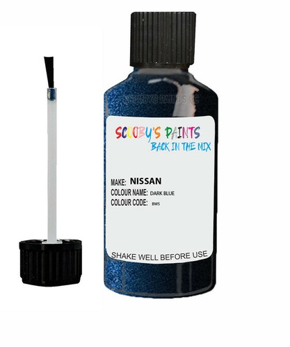 Paint touch for nissan - touch,