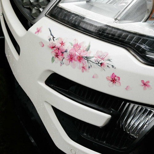 Pink cherry flower car auto - car,